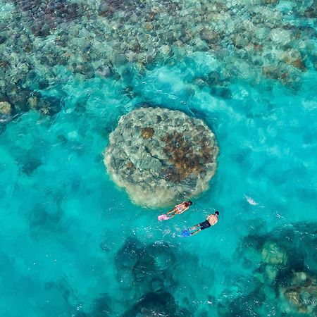 Shingley Beach Resort - Whitsundays Airlie Beach Eksteriør billede